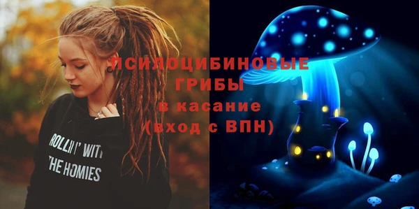 стаф Абинск