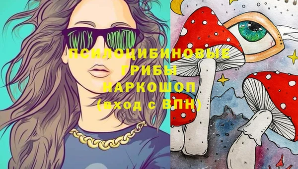 кокс Алексин
