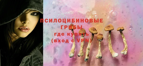 стаф Абдулино
