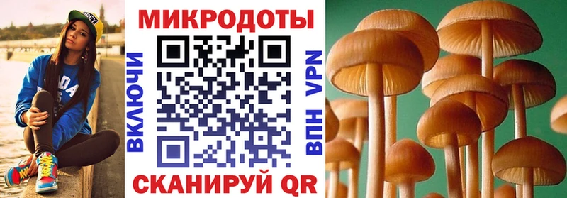 Псилоцибиновые грибы GOLDEN TEACHER  продажа наркотиков  Щёкино 